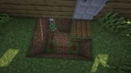 Image via Minecraft